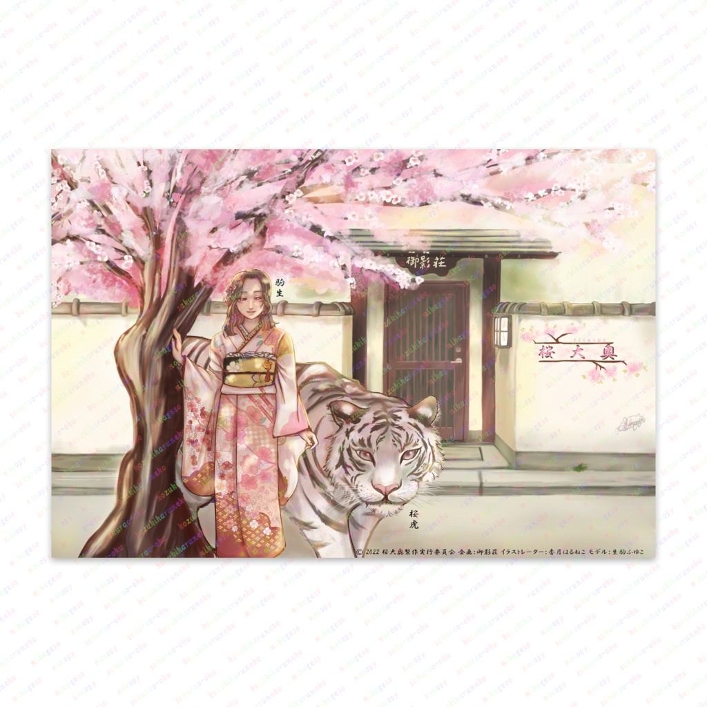 桜大奥 駒生 ポストカード