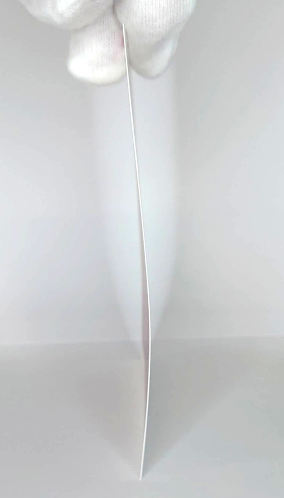 ジョルティの水着グラビアポストカード