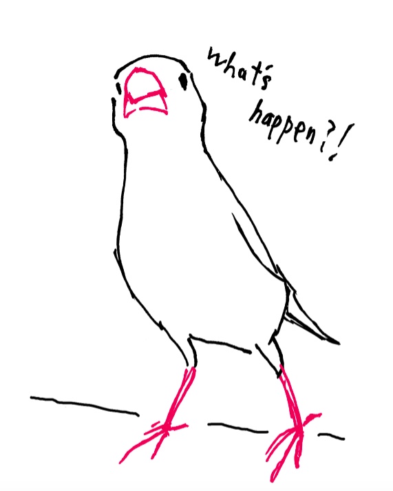 What's happen?文鳥Tシャツ【キッズサイズ】