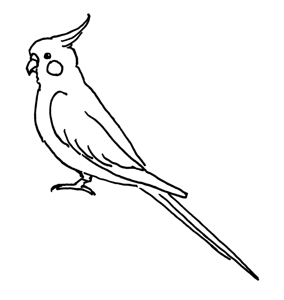 オカメインコ Tシャツ