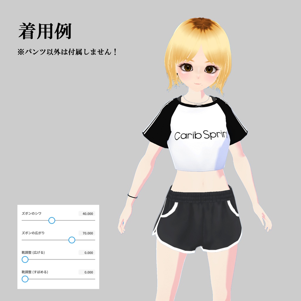 【Vroid】Dolphin Shorts / ドルフィンパンツ 全12色 Vroid用 女性用下着・ボトムス