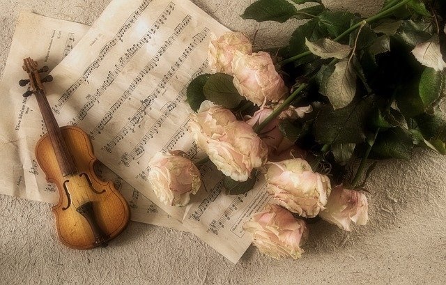 愛の挨拶 violin&piano ver.