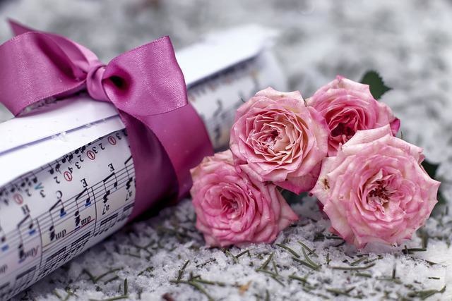 私の勇敢なウィリー