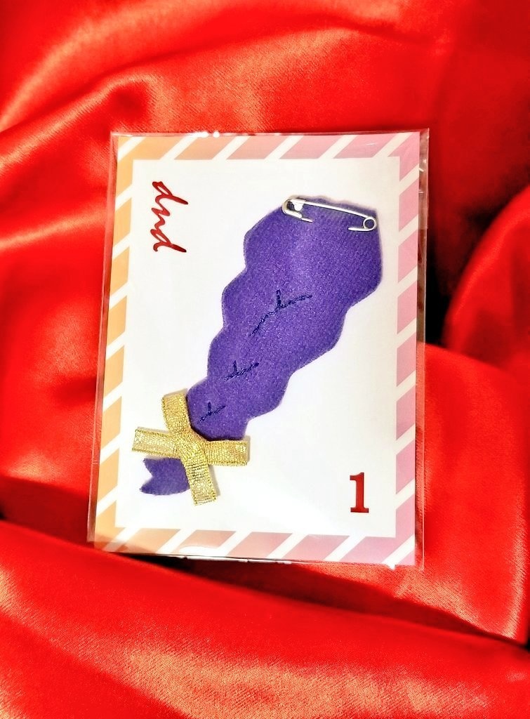 ダンデのみつあみ（匿名配送）