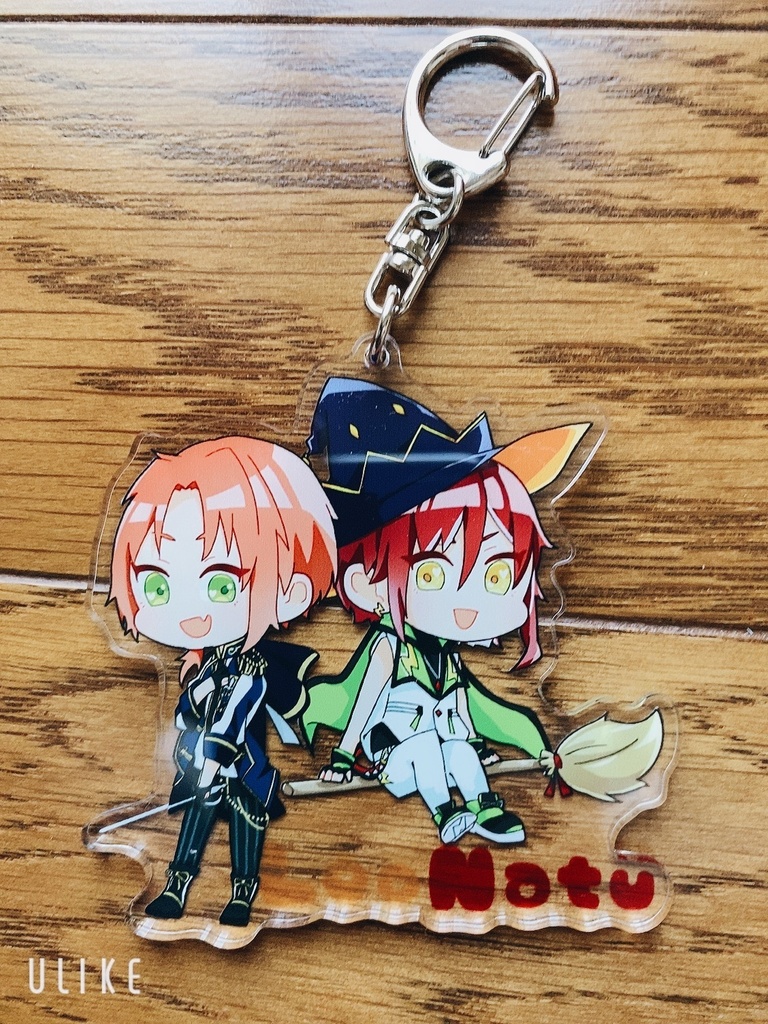 レオ夏アクキー(普通郵便)