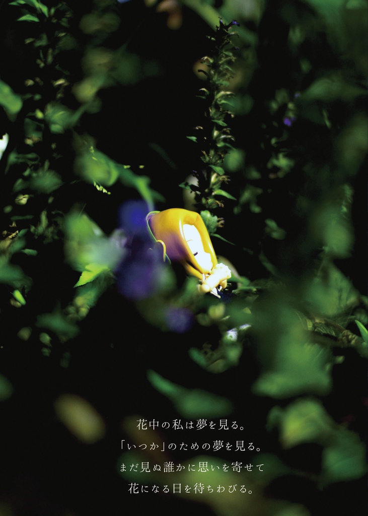 花中の少女は夢を見る