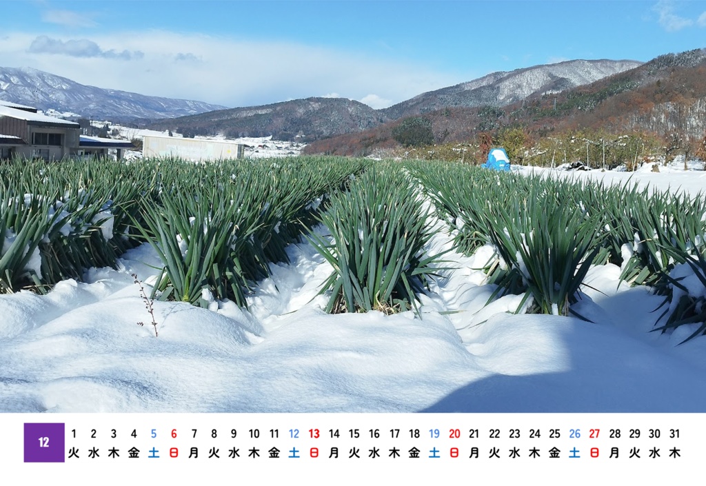 2026日本一周旅カレンダー