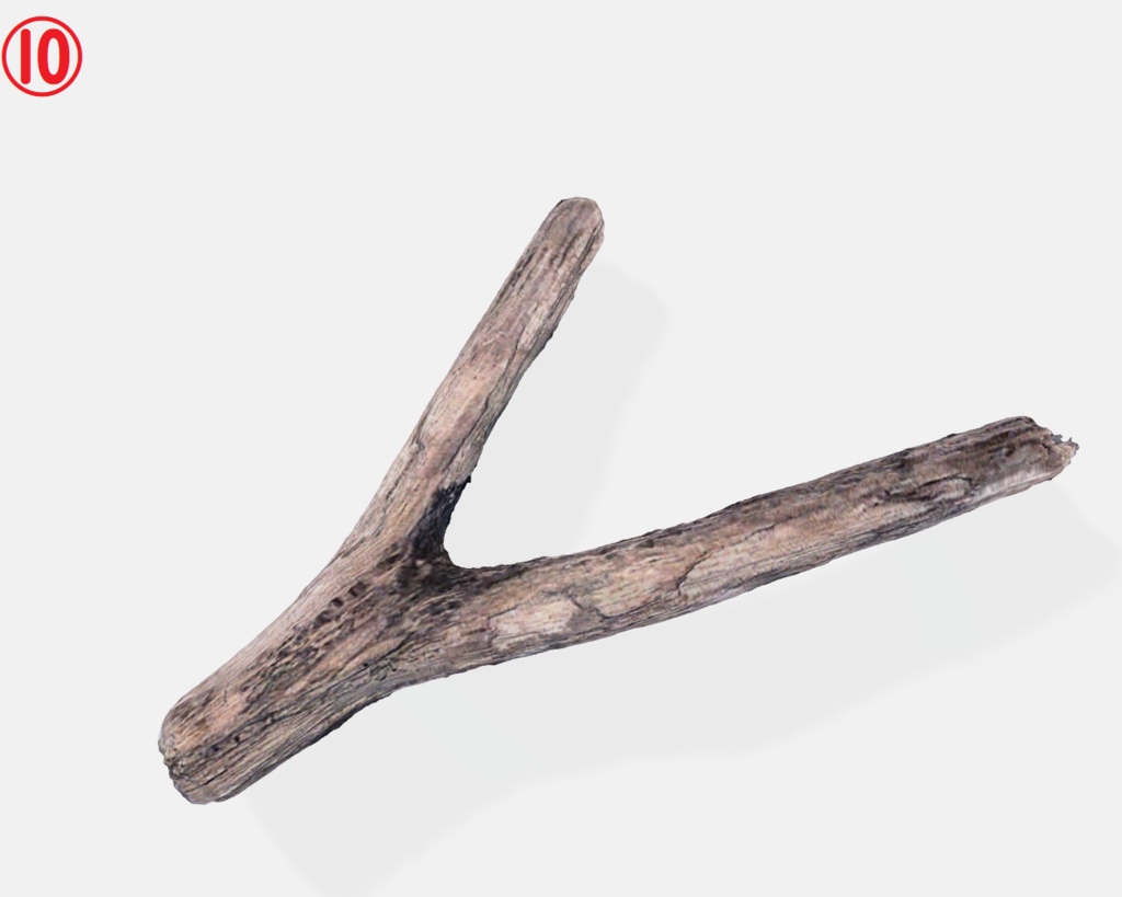 流木(3Dスキャン)