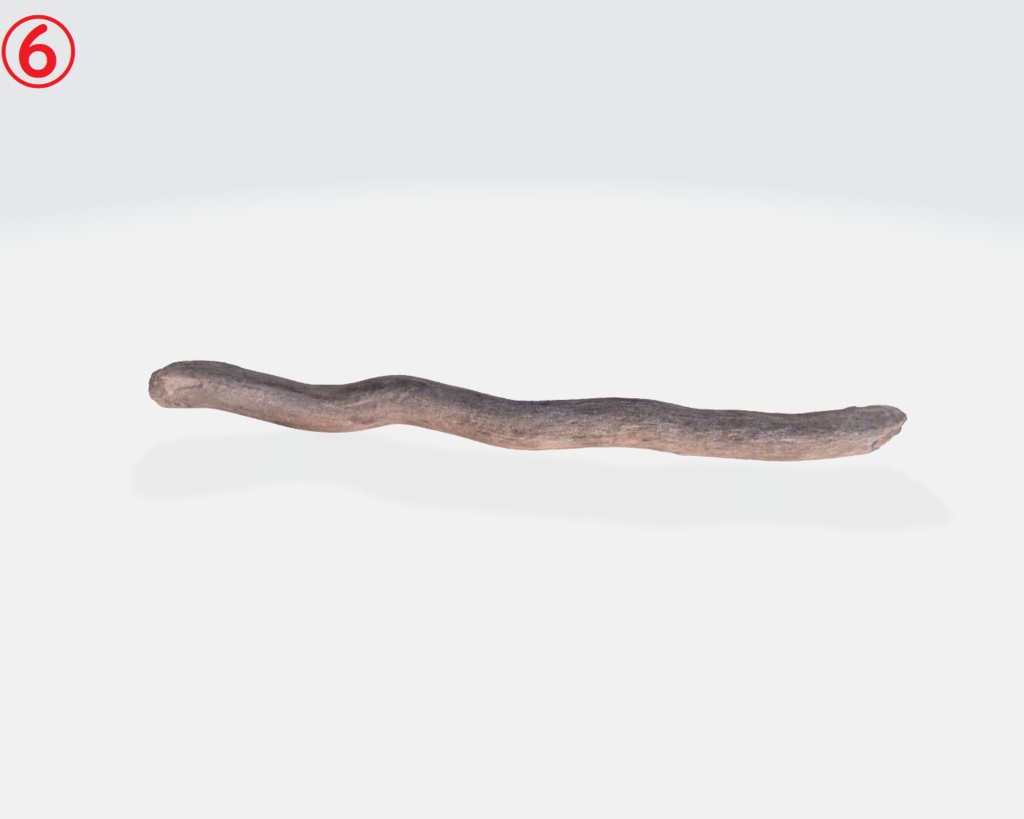 流木(3Dスキャン)