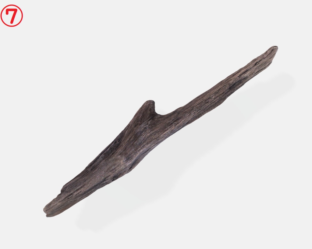 流木(3Dスキャン)