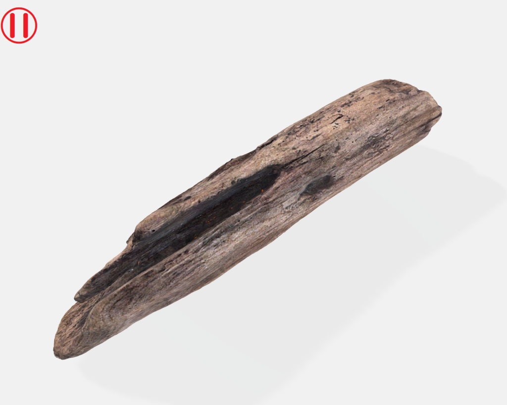 流木(3Dスキャン)