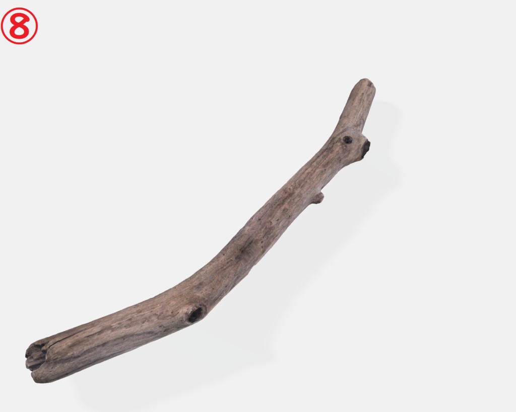 流木(3Dスキャン)