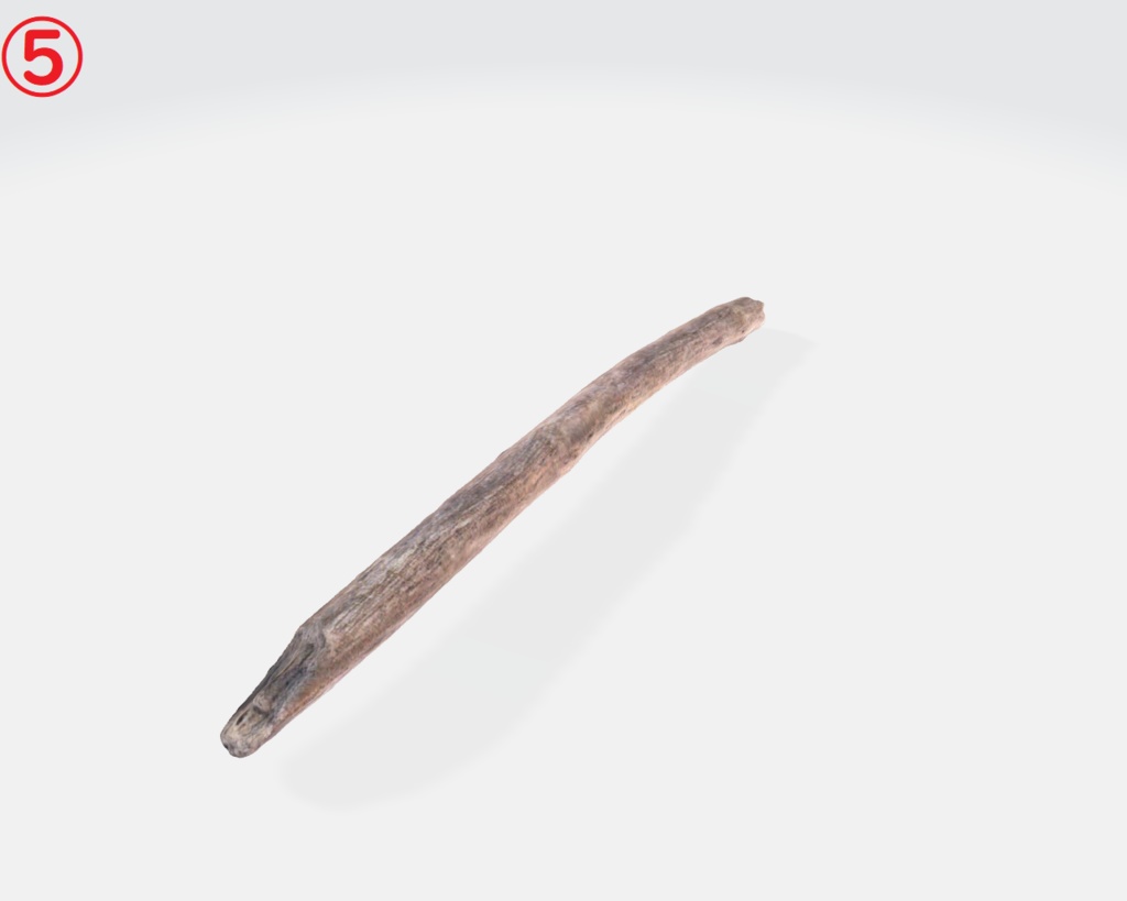 流木(3Dスキャン)