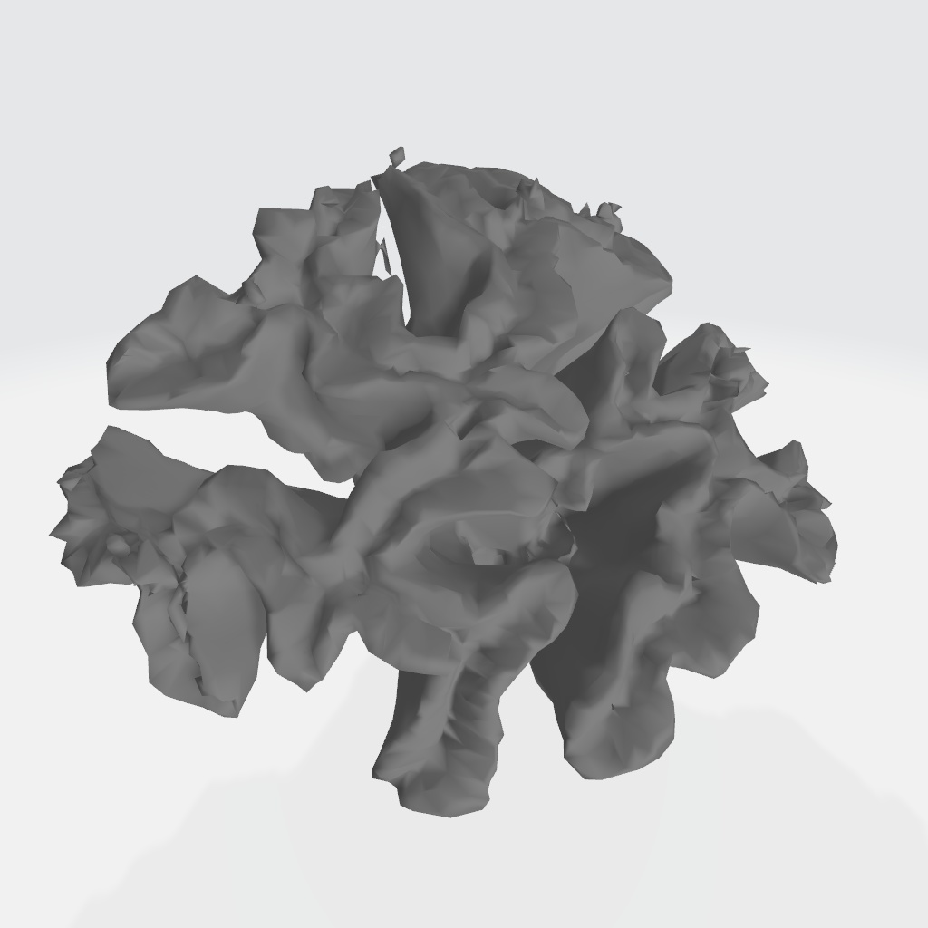 サンゴ(3Dスキャン)