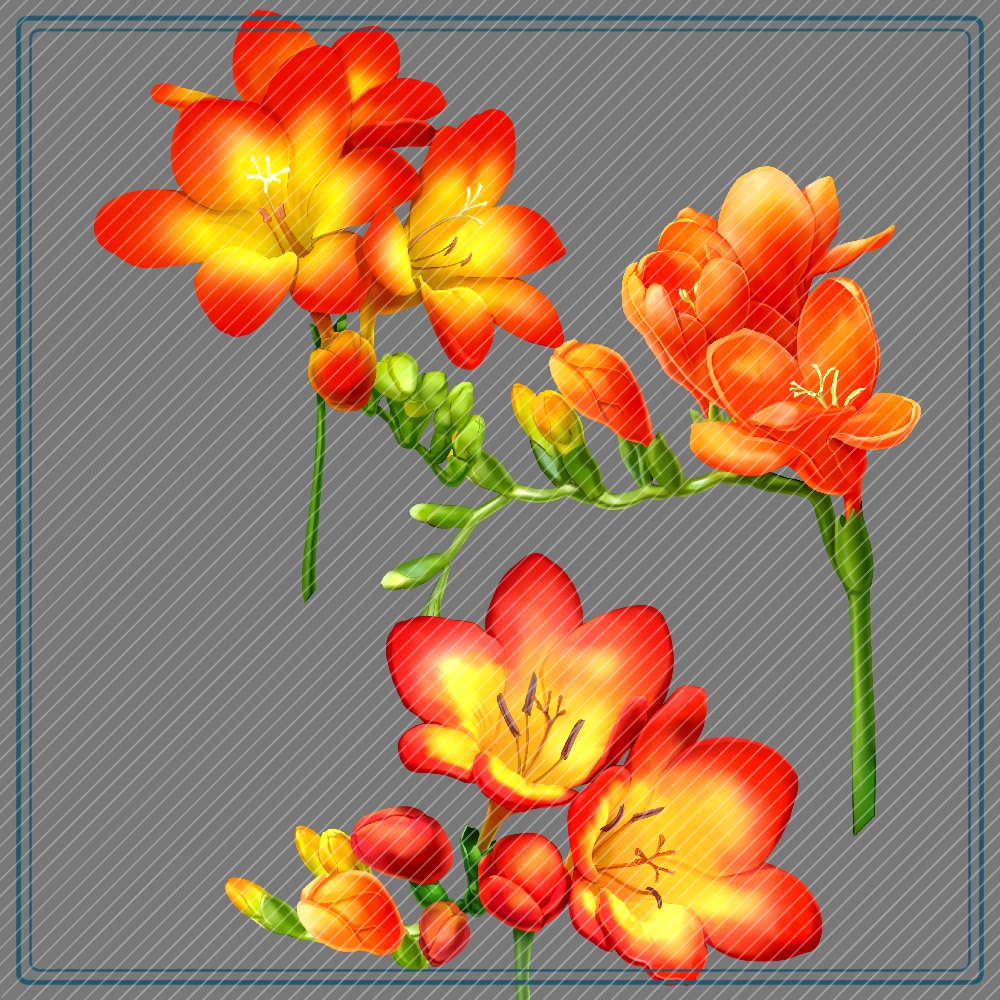 フリージアブラシ(紫追加)