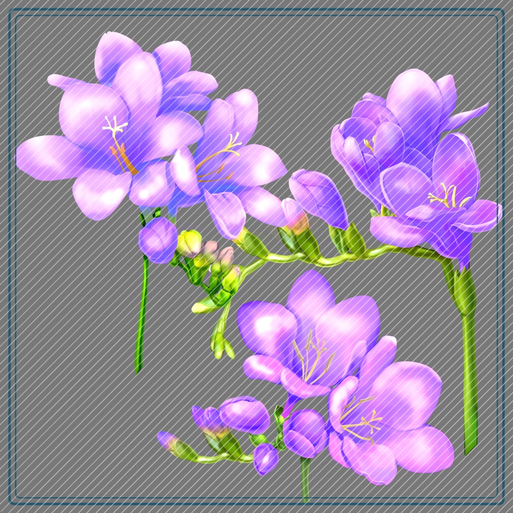 フリージアブラシ(紫追加)