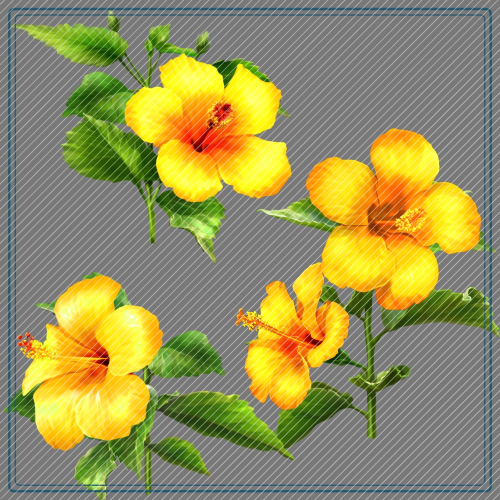 ハイビスカスブラシ