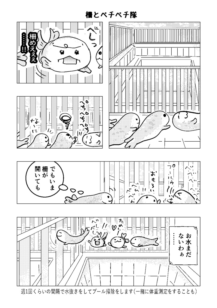 みんなちがうアザラシ