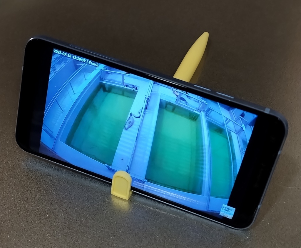 アザラシボールペン3本セット(バラあり)