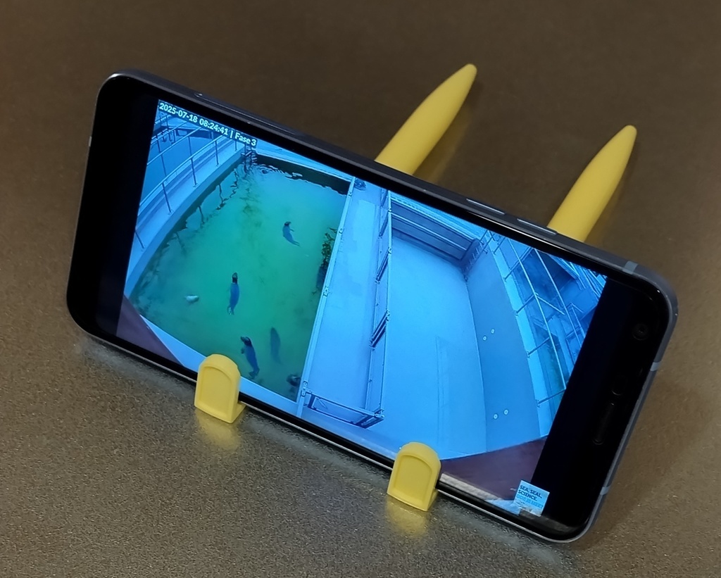 アザラシボールペン3本セット(バラあり)