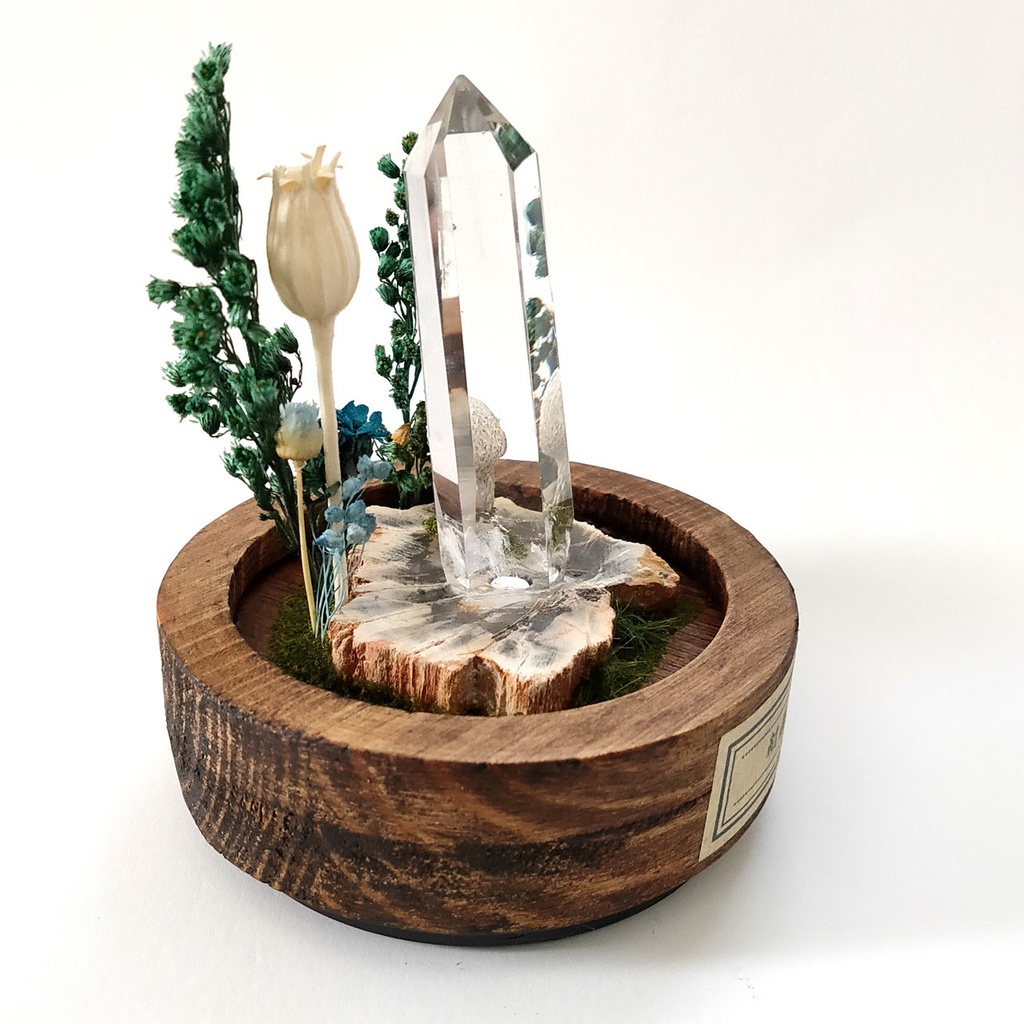 『結晶の森』中・鉱物ランプ・水晶・珪化木・10パターン切替点灯