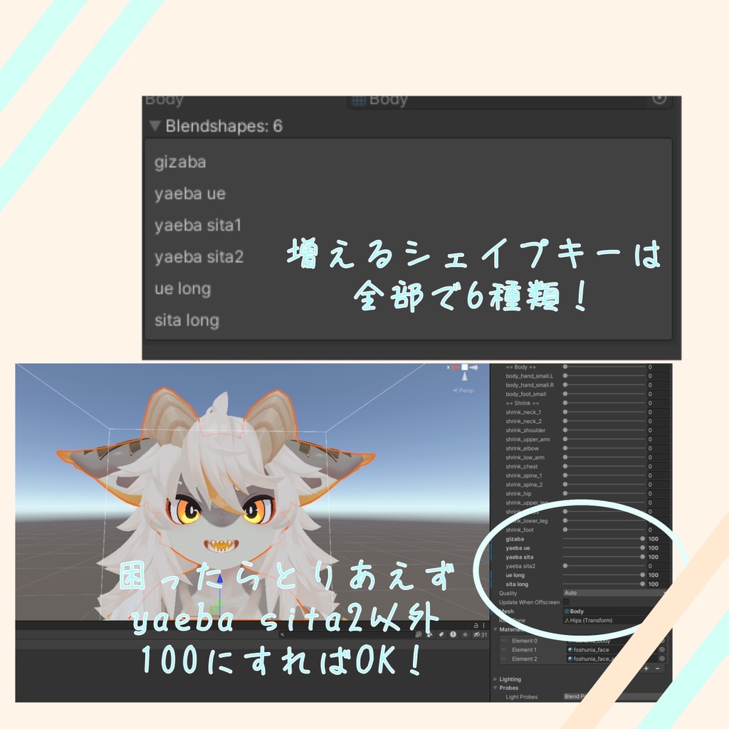 フォシュニア ギザ歯シェイプキー