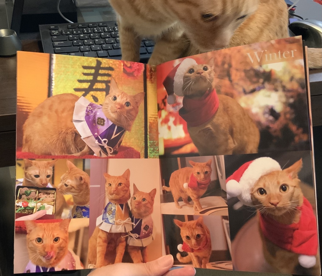 【猫のディーンとサム兄弟フォトブック】Wbrothers