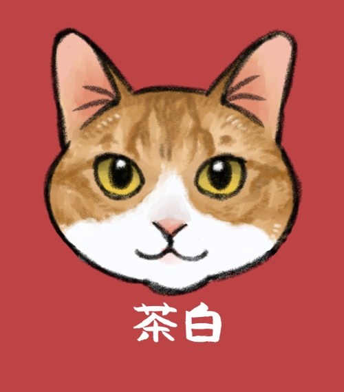 猫ちゃんアクキー（茶白）
