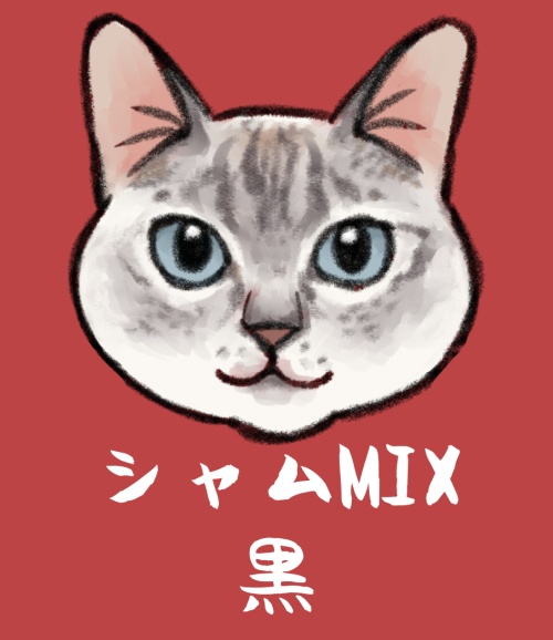 猫ちゃんアクキー（シャムMIX黒）