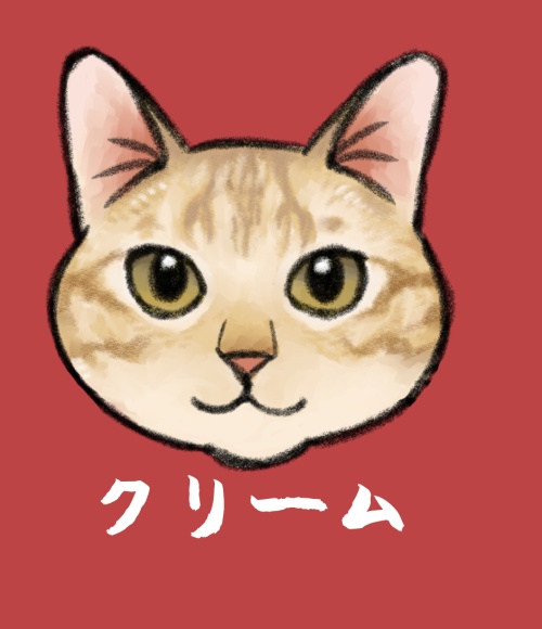 猫ちゃんアクキー（クリーム）