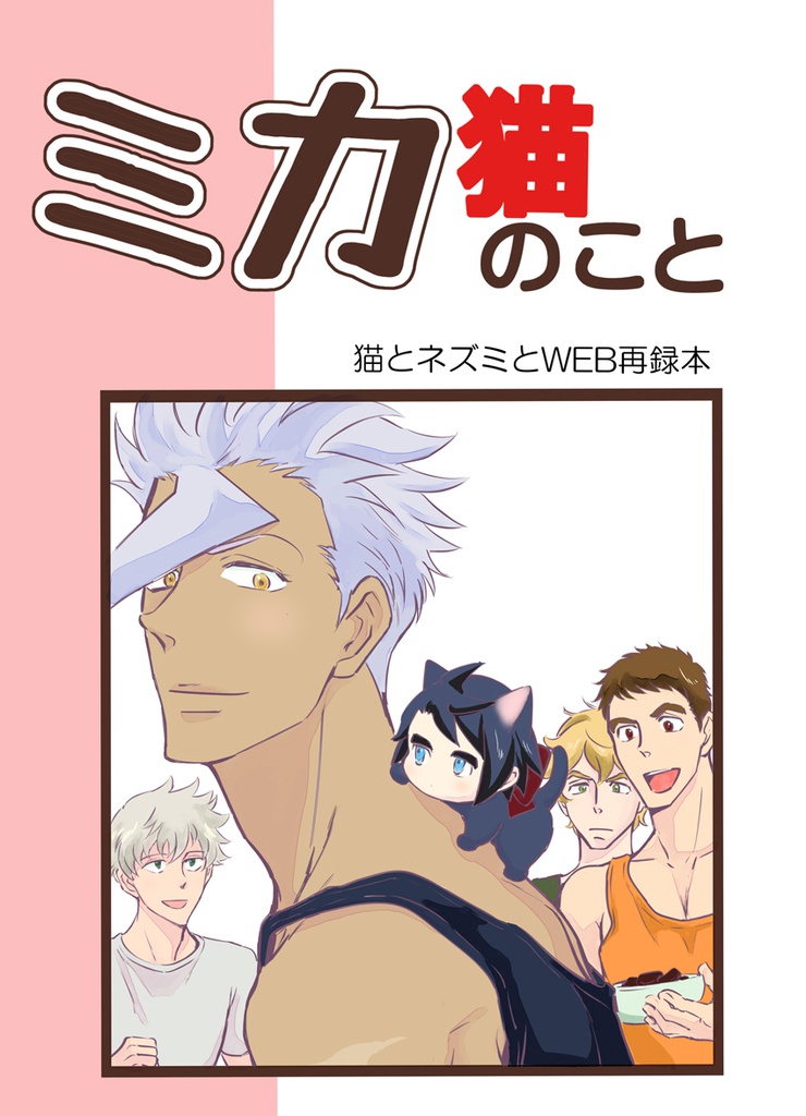 ミカ猫のこと