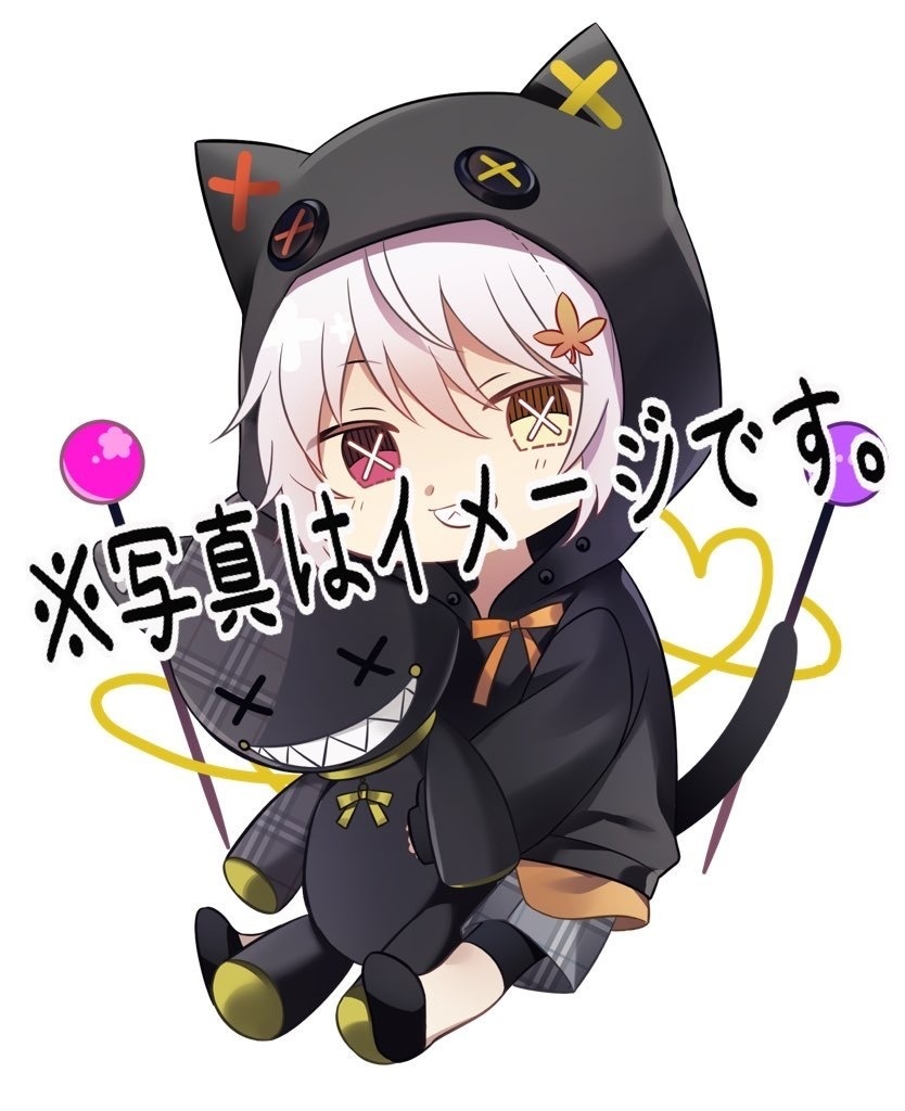 缶バッジ_あこちとぬいぐるみ