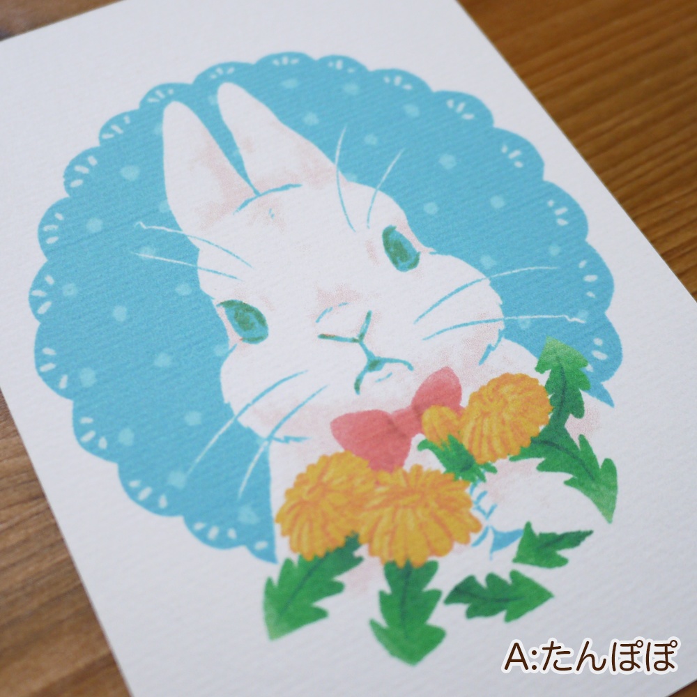 うさぎのポストカード