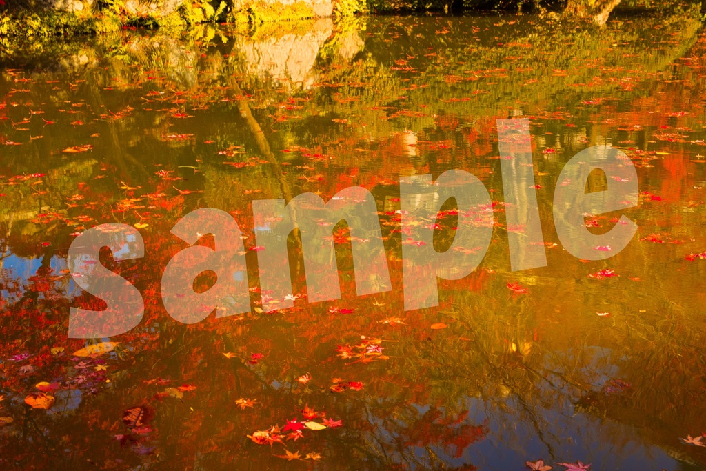 秋の京都 写真素材25枚セット 商用利用可