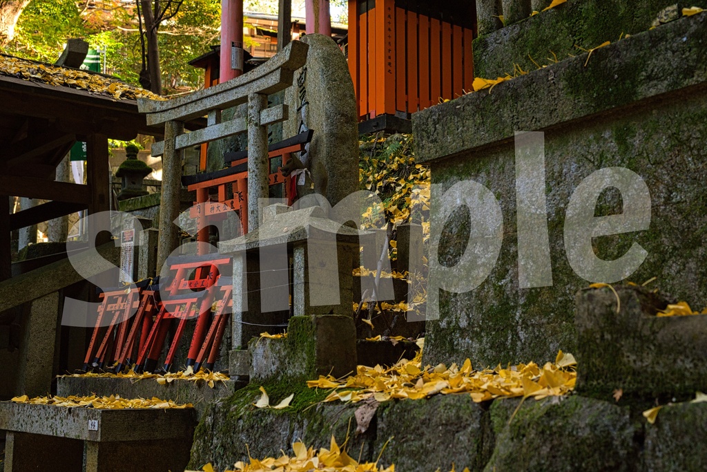 秋の京都 写真素材25枚セット 商用利用可