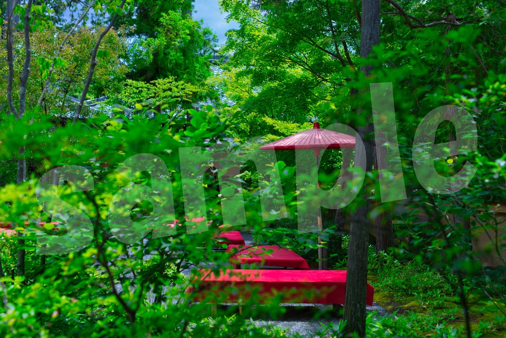 「何かの背景とかに使えそうな写真」30枚セット 商用利用可