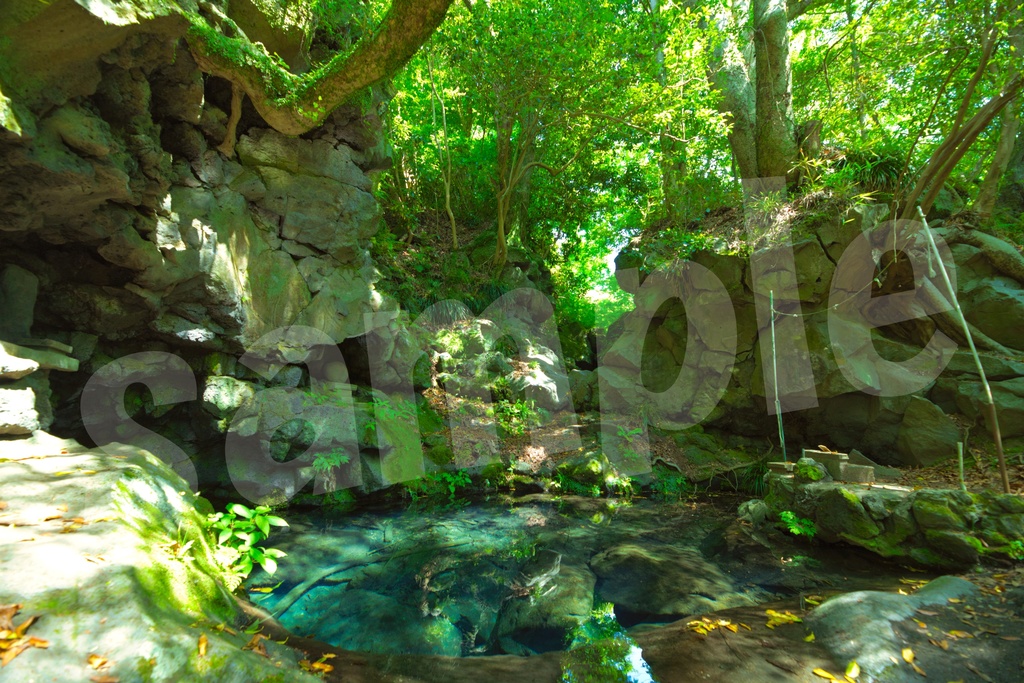 「何かの背景とかに使えそうな写真」30枚セット 商用利用可