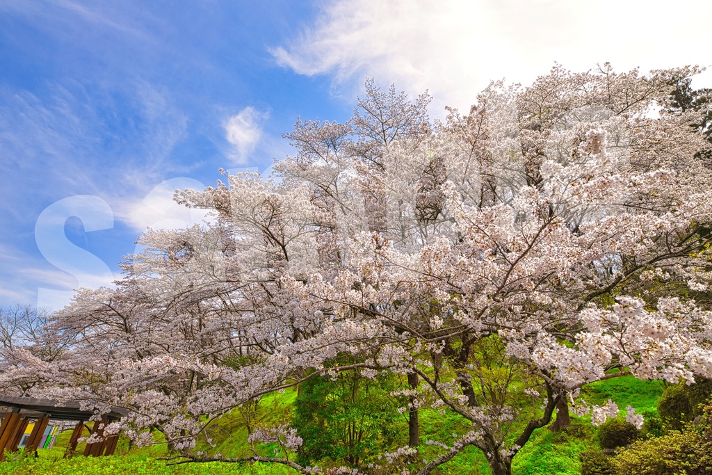 「何かの背景とかに使えそうな写真」30枚セット 商用利用可
