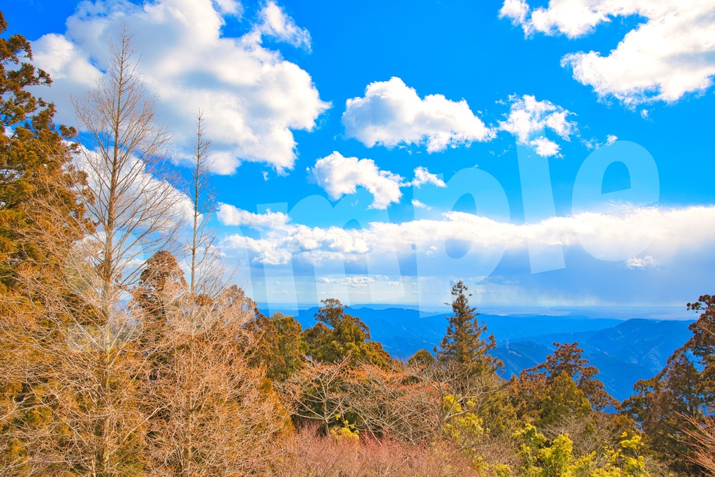 「何かの背景とかに使えそうな写真2」25枚セット 商用利用可