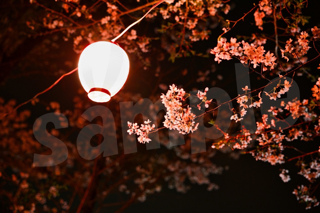 「何かの背景とかに使えそうな写真2」25枚セット 商用利用可