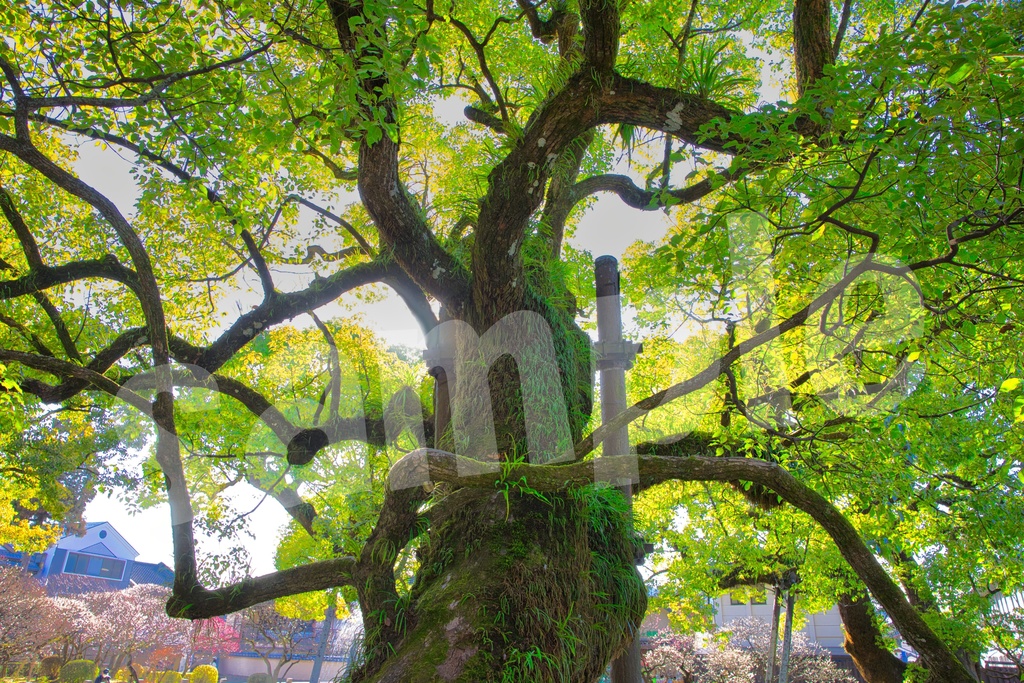 「何かの背景とかに使えそうな写真2」25枚セット 商用利用可