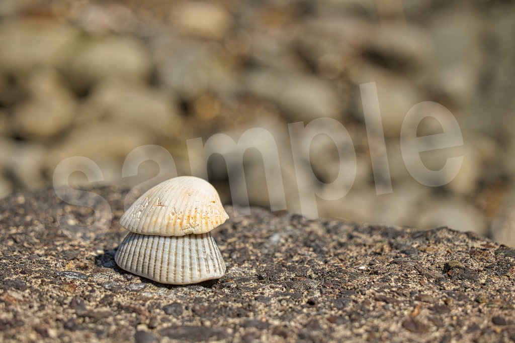 「何かの背景とかに使えそうな写真3」23枚セット 商用利用可