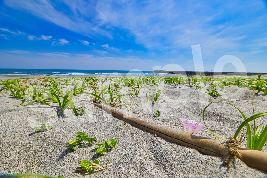 「何かの背景とかに使えそうな写真3」23枚セット 商用利用可