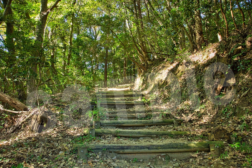 「何かの背景とかに使えそうな写真4」23枚セット 商用利用可