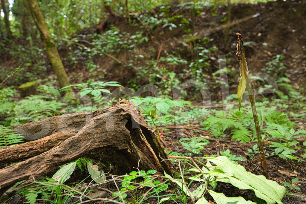 「何かの背景とかに使えそうな写真6」26枚セット 商用利用可