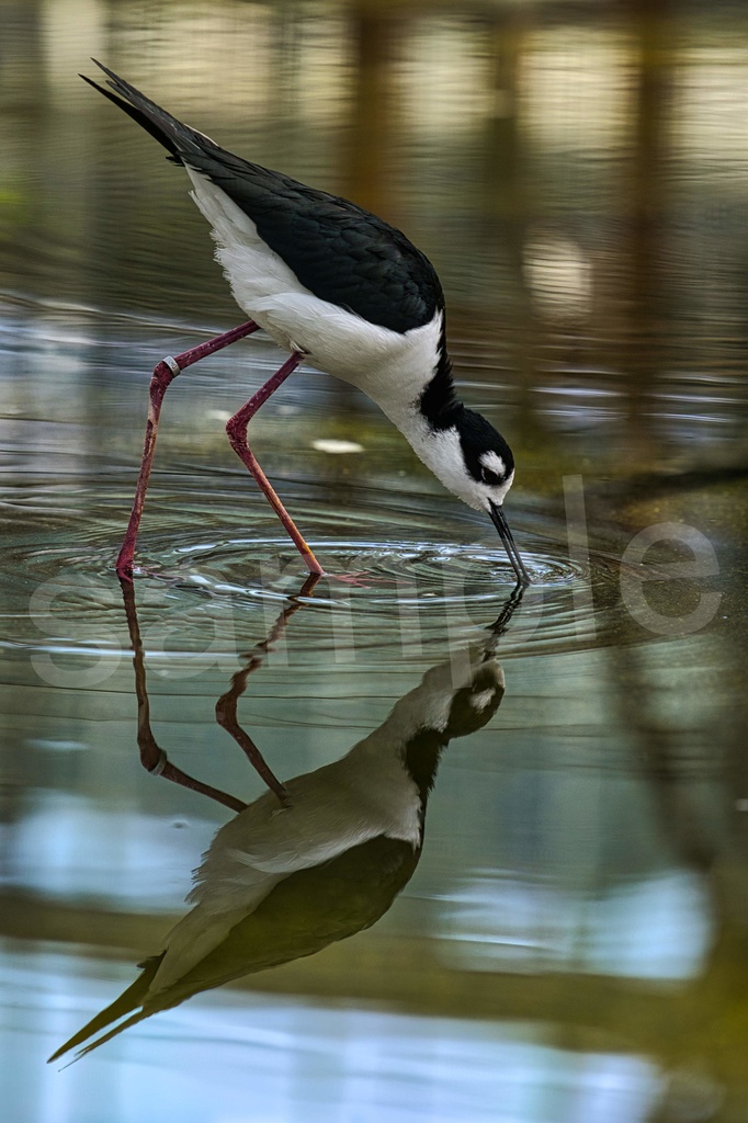 「何かの背景とかに使えそうな写真6」26枚セット 商用利用可
