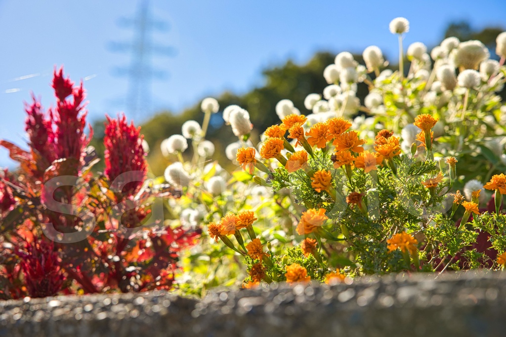 「何かの背景とかに使えそうな写真6」26枚セット 商用利用可