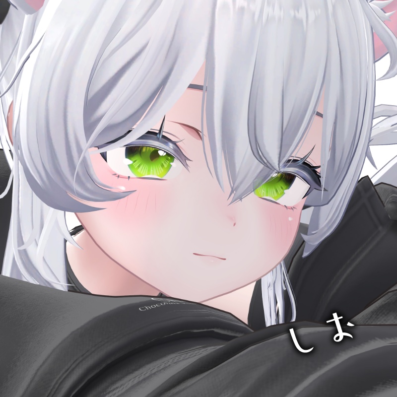 【19アバター対応】simple eye texture【12色】