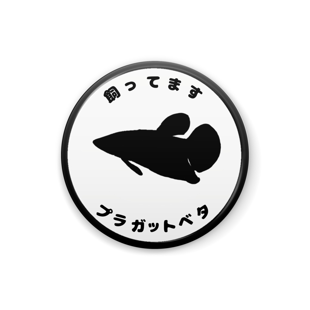飼ってます プラガットベタ