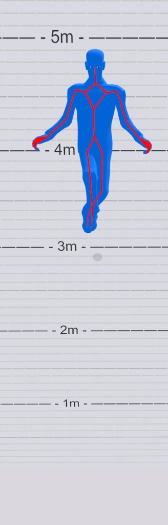 GoGo Loco|System|1.8.6